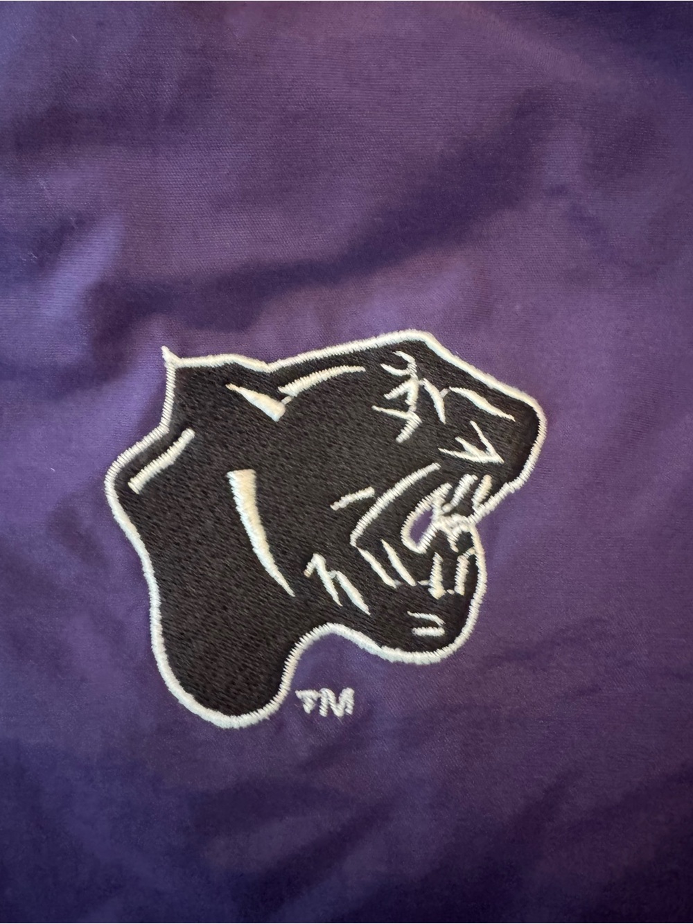 ELDER HIGH SCHOOL PANTHERS Purple Hooded Windbreaker Jacket - Elder Panthers - Picture 2 of 10